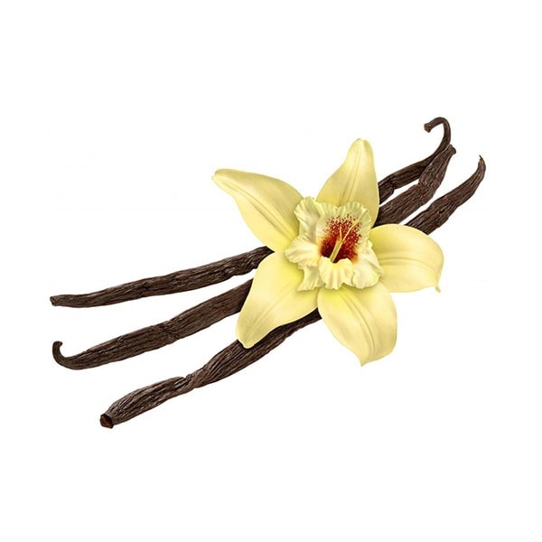 Vanilla Food Flavoring Food Ingredients Malaysia, Selangor, Kuala Lumpur (KL), Semenyih Manufacturer, Supplier, Supply, Supplies | Natherm Group Sdn Bhd