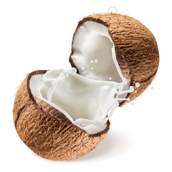 Coconut Food Flavoring Food Ingredients Malaysia, Selangor, Kuala Lumpur (KL), Semenyih Manufacturer, Supplier, Supply, Supplies | Natherm Group Sdn Bhd