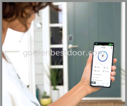 Yuadian C2 Smart Lock 