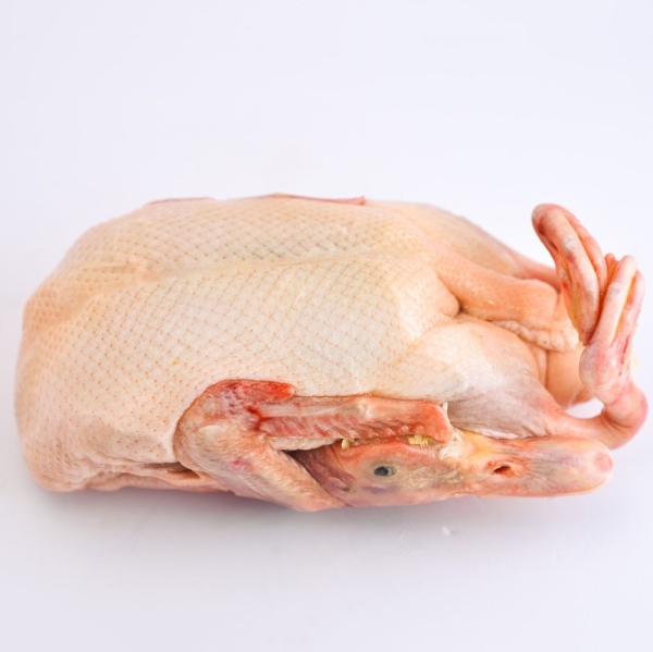 Frozen Duck Duck Frozen Poultry Selangor, Malaysia, Kuala Lumpur (KL), Puchong Supplier, Suppliers, Supply, Supplies | SGT Frozen Foods Sdn Bhd