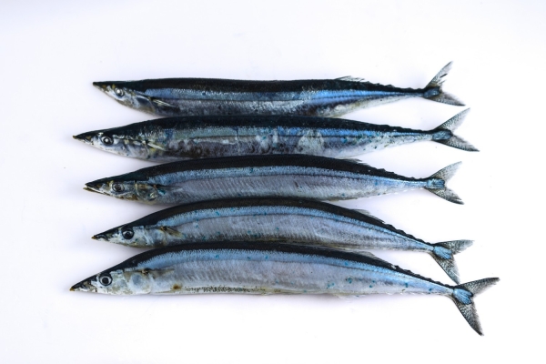 Sanma Fishes Frozen Seafood Selangor, Malaysia, Kuala Lumpur (KL), Puchong Supplier, Suppliers, Supply, Supplies | SGT Frozen Foods Sdn Bhd