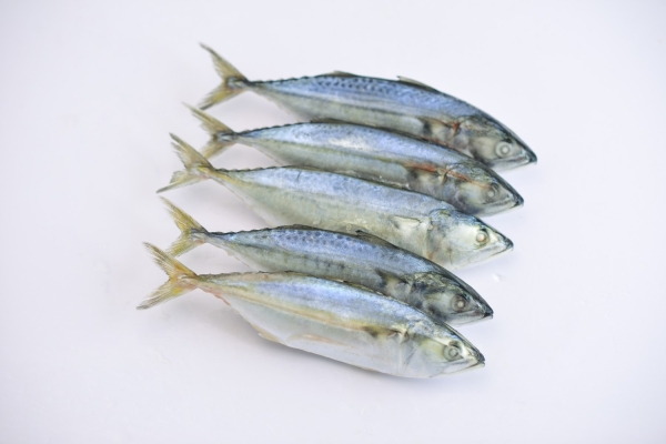 Mabong Fishes Frozen Seafood Selangor, Malaysia, Kuala Lumpur (KL), Puchong Supplier, Suppliers, Supply, Supplies | SGT Frozen Foods Sdn Bhd