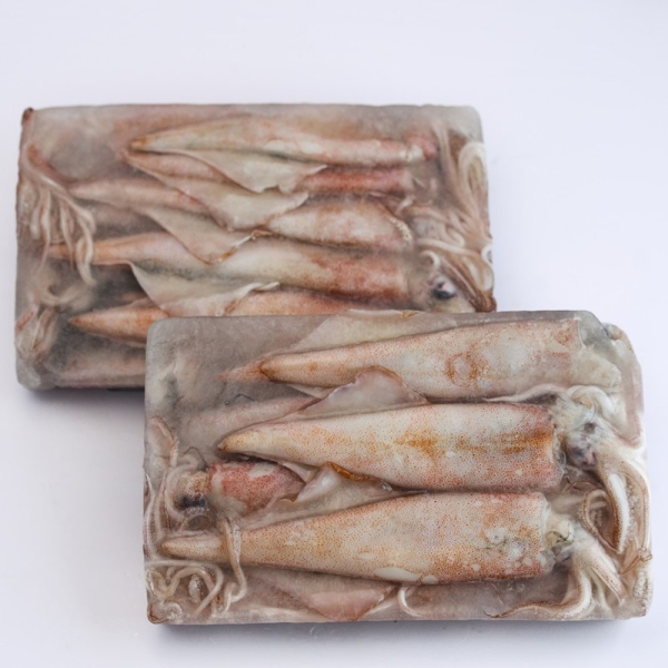 Sotong (Skin On) Squid Frozen Seafood Selangor, Malaysia, Kuala Lumpur (KL), Puchong Supplier, Suppliers, Supply, Supplies | SGT Frozen Foods Sdn Bhd