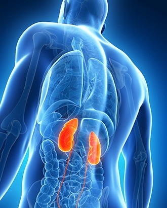 Kidney Diseases POCT Quantitative Tests & Diagnostics Systems Selangor, Malaysia, Kuala Lumpur (KL), Rawang Supplier, Suppliers, Supply, Supplies | Medic SC Sdn Bhd