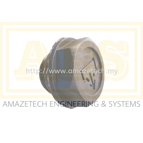 Oil Drain Plug c/w O-Ring RA 0025