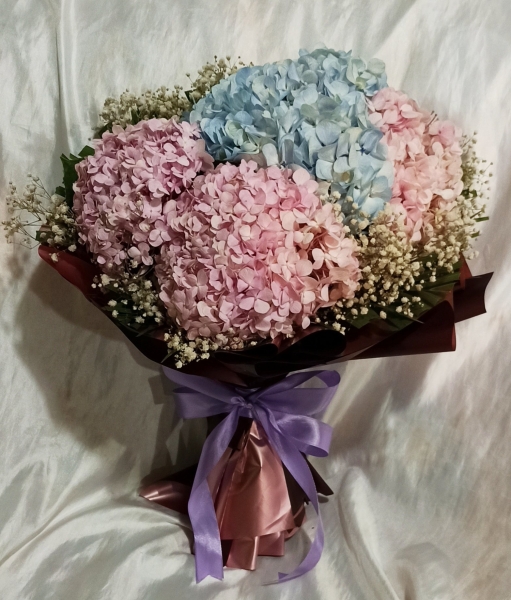 Hydrangea Bouquet (HB-1016)  Hydrangea Hand Bouquet Kuala Lumpur (KL), Selangor, Malaysia Supplier, Suppliers, Supply, Supplies | Shirley Florist