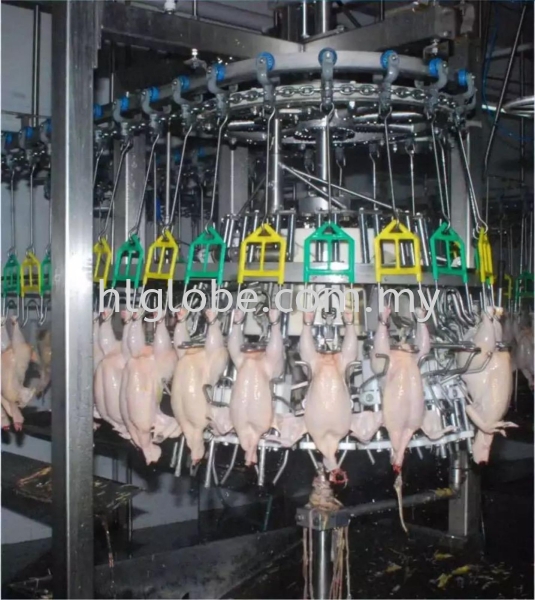  Auto Evisceration Eviscerator Poultry Machine Negeri Sembilan, Malaysia, Port Dickson Supplier, Suppliers, Supply, Supplies | HL Globe Solution Sdn Bhd