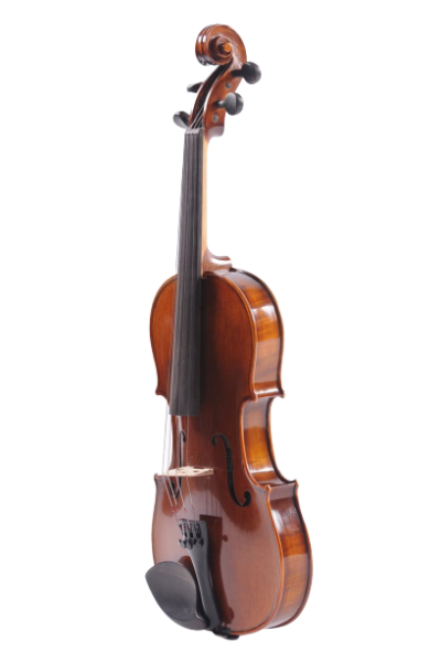 Ruggeri Special - RM 10,000 Violin Malaysia, Selangor, Kuala Lumpur (KL), Puchong, Bukit Jalil Supplier, Supply, Supplies, Repair | House Of Violins Petaling Jaya Sdn Bhd