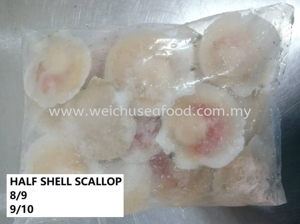 Half Shell Scallop Frozen Scallop Meat Selangor, Malaysia, Kuala Lumpur (KL), Klang Supplier, Suppliers, Supply, Supplies | Wei Chu Seafood Supply Trading Sdn Bhd