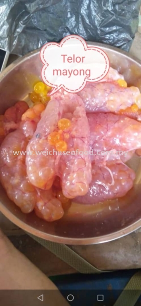 Telur Mayong Frozen Fish Roe Selangor, Malaysia, Kuala Lumpur (KL), Klang Supplier, Suppliers, Supply, Supplies | Wei Chu Seafood Supply Trading Sdn Bhd