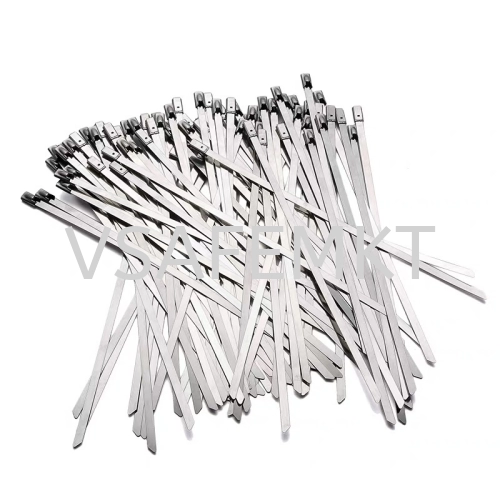 Stainless Steel 304 Cable Tie (8 x 300mm) 