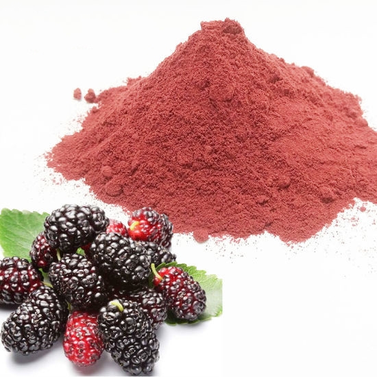 Boysenberry Powder Fruit Powder Food Ingredients Malaysia, Selangor, Kuala Lumpur (KL), Semenyih Manufacturer, Supplier, Supply, Supplies | Natherm Group Sdn Bhd