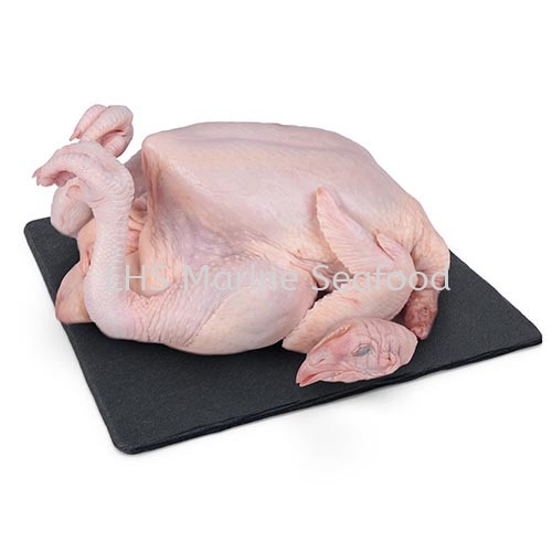 Chicken Kosong Whole Chicken and Duck Johor Bahru (JB), Malaysia, Skudai Supplier, Suppliers, Supply, Supplies | Lean Hup Shun Marine Seafood Sdn Bhd