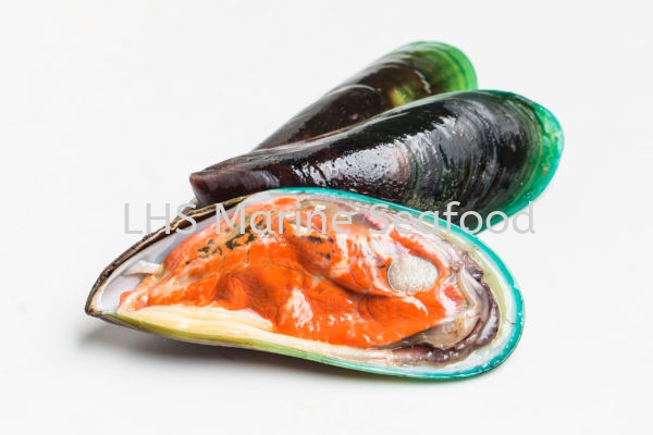 Mussel Green Whole (Local) Scallop and Calms Johor Bahru (JB), Malaysia, Skudai Supplier, Suppliers, Supply, Supplies | Lean Hup Shun Marine Seafood Sdn Bhd