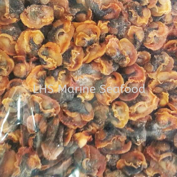 Kerang Meat Scallop and Calms Johor Bahru (JB), Malaysia, Skudai Supplier, Suppliers, Supply, Supplies | Lean Hup Shun Marine Seafood Sdn Bhd