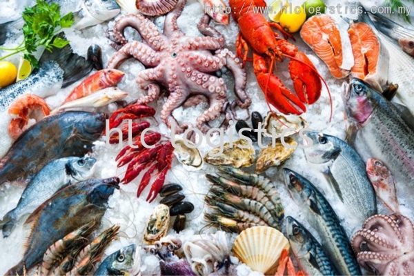 Fish and Seafood Food Transport Malaysia, Perak, Selangor, Kuala Lumpur (KL), Rawang Service | HLC Logistics Sdn Bhd