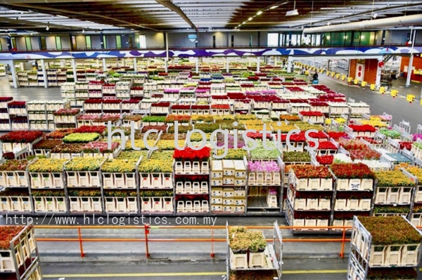 Floriculture  Food Transport Malaysia, Perak, Selangor, Kuala Lumpur (KL), Rawang Service | HLC Logistics Sdn Bhd