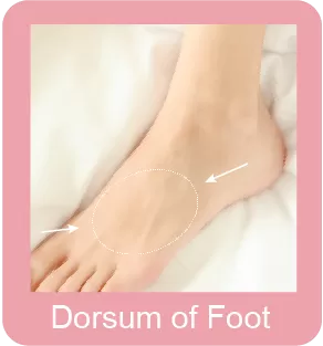 Dorsum of Foot