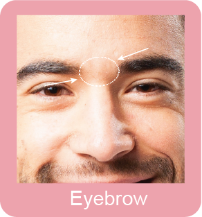 Eyebrow