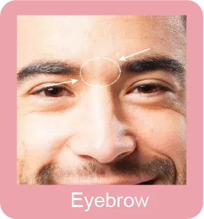 Eyebrow