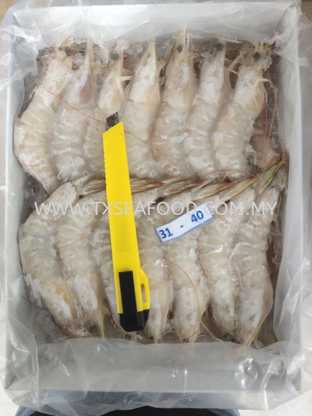 31/40 SEA WHITE PRAWN AAϺ FROZEN PRAWN Selangor, Klang, Malaysia, Kuala Lumpur (KL) Supplier, Suppliers, Supply, Supplies | TX SEAFOOD SDN. BHD.