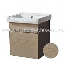 SS CABINET + BASIN