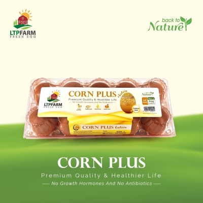 LTP Corn Plus