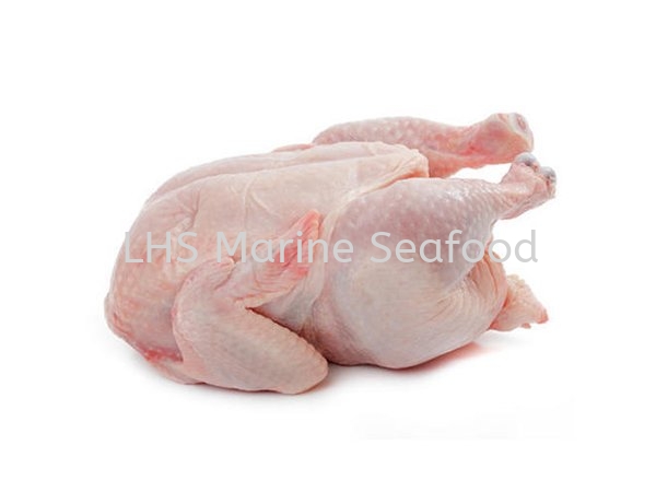 Super Whole Chicken and Duck Johor Bahru (JB), Malaysia, Skudai Supplier, Suppliers, Supply, Supplies | Lean Hup Shun Marine Seafood Sdn Bhd