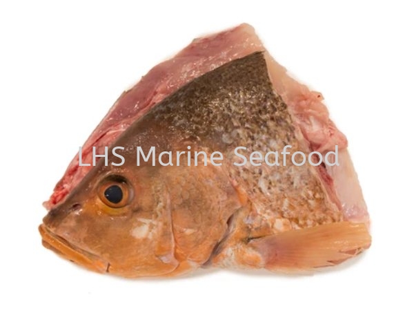 ͷ Ƭͷ   Supplier, Suppliers, Supply, Supplies | Lean Hup Shun Marine Seafood Sdn Bhd