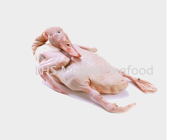 Whole Duck Chicken and Duck Johor Bahru (JB), Malaysia, Skudai Supplier, Suppliers, Supply, Supplies | Lean Hup Shun Marine Seafood Sdn Bhd