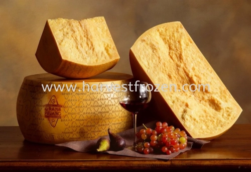 GRANA PADANO 1/8 WHEEL