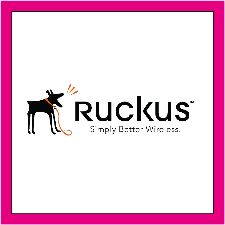 RUCKUS NETWORK