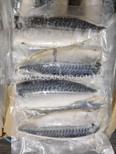 Saba Fish Fillet FROZEN FISH MEAT FROZEN FISH Selangor, Klang, Malaysia, Kuala Lumpur (KL) Supplier, Suppliers, Supply, Supplies | TX SEAFOOD SDN. BHD.