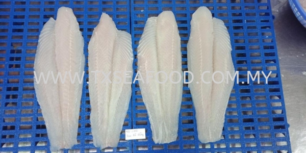 DORY FISH FILLETWELL TRIM FROZEN FISH MEAT FROZEN FISH Selangor, Klang, Malaysia, Kuala Lumpur (KL) Supplier, Suppliers, Supply, Supplies | TX SEAFOOD SDN. BHD.