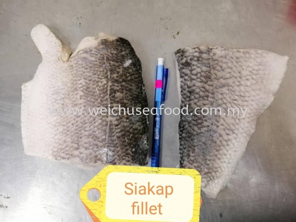 Siakap Fillet Frozen Fish Fillet Selangor, Malaysia, Kuala Lumpur (KL), Klang Supplier, Suppliers, Supply, Supplies | Wei Chu Seafood Supply Trading Sdn Bhd
