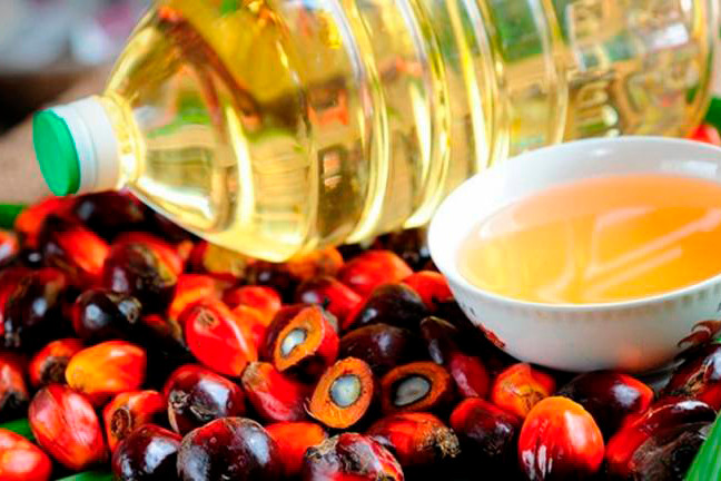 Palm Oil Products