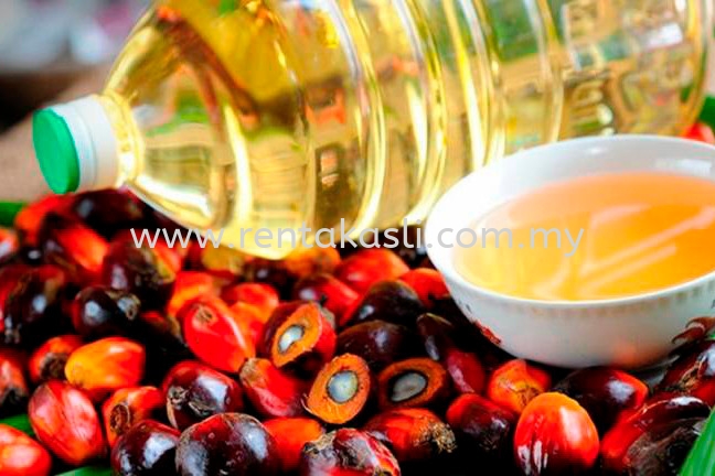 Palm Oil Products