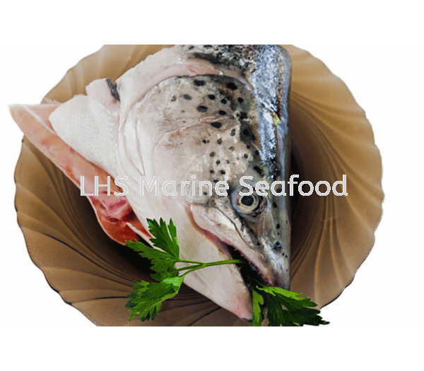 Salmon Head Fish Fillet and Fish Head Johor Bahru (JB), Malaysia, Skudai Supplier, Suppliers, Supply, Supplies | Lean Hup Shun Marine Seafood Sdn Bhd