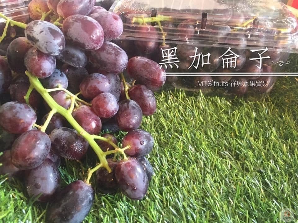 黑加仑子 Blackcurrant