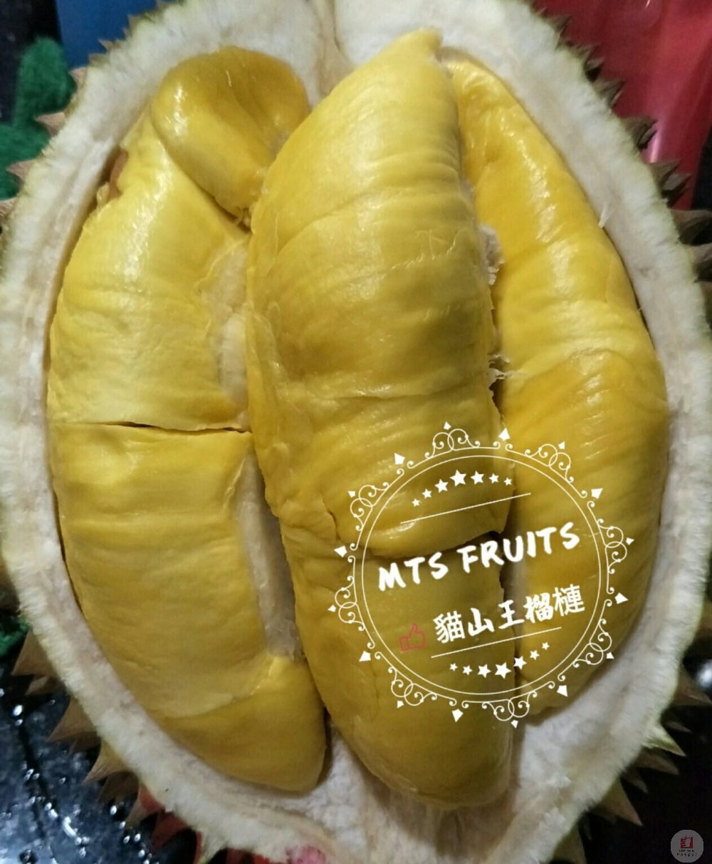 猫山王 Musang King