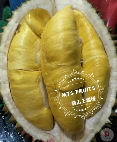 猫山王 Musang King