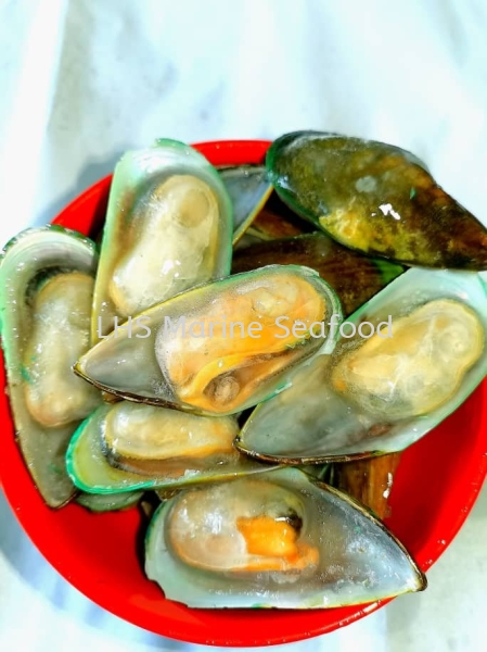 mussel ( new zealand ) Scallop and Calms Johor Bahru (JB), Malaysia, Skudai Supplier, Suppliers, Supply, Supplies | Lean Hup Shun Marine Seafood Sdn Bhd