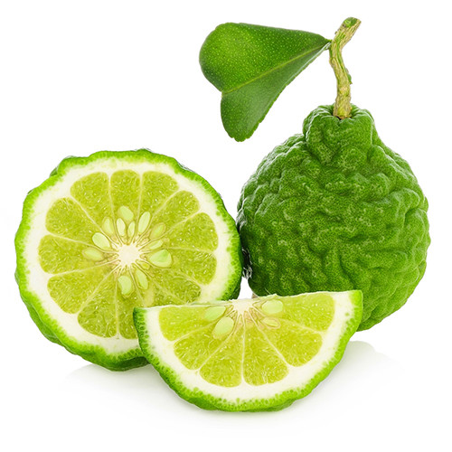 Bergamot Givco
