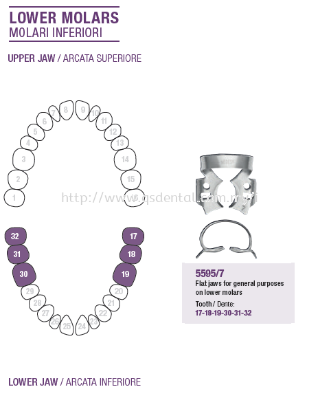 Rubber Dam Clamp Lower Molars 5595/7 Rubber Dam Clamp Lower Molars Rubber Dam  Medesy Selangor, Malaysia, Kuala Lumpur (KL), Banting Supplier, Suppliers, Supply, Supplies | QS Dental Supply Sdn Bhd