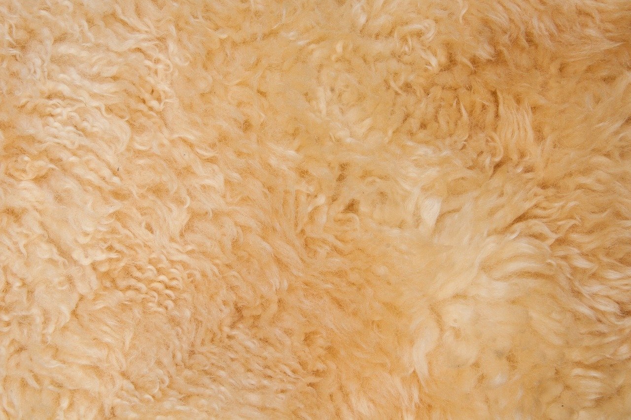 Aura Touch (Musk) (50%)
