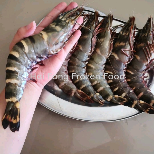  Sea Tiger Prawn Frozen Shrimp Kuala Lumpur (KL), Malaysia, Selangor Supplier, Suppliers, Supply, Supplies | Hai Fong Frozen Food Sdn Bhd