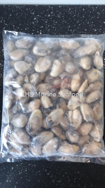 Oyster Meat Scallop and Calms Johor Bahru (JB), Malaysia, Skudai Supplier, Suppliers, Supply, Supplies | Lean Hup Shun Marine Seafood Sdn Bhd