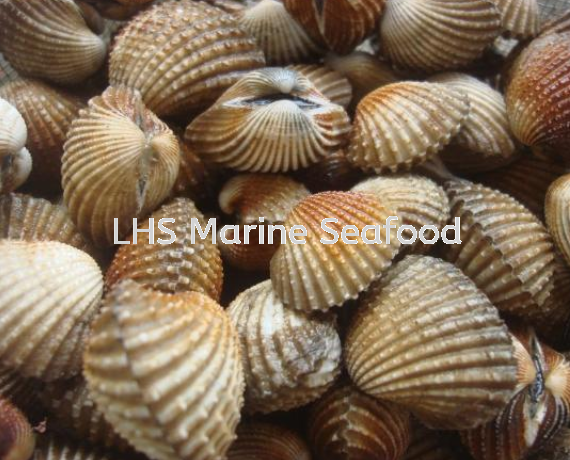     Supplier, Suppliers, Supply, Supplies | Lean Hup Shun Marine Seafood Sdn Bhd