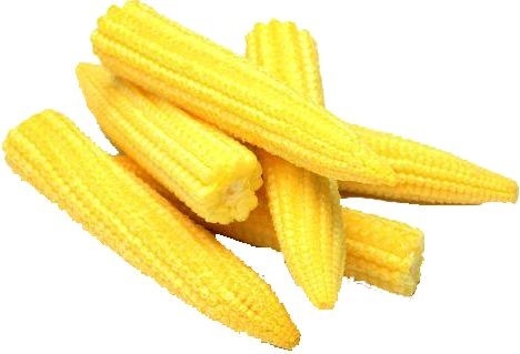 Baby Corn