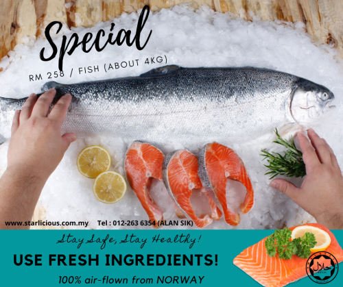 Fresh Salmon on SALE!